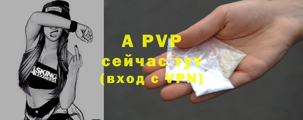 экстази Бородино