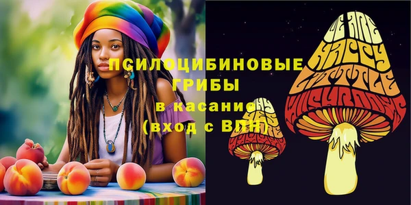 экстази Бородино